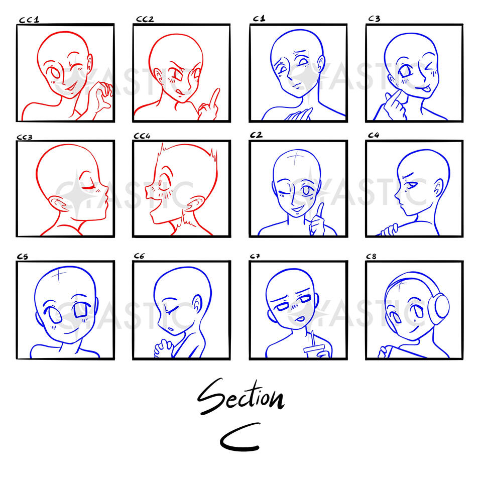 Base Section C - Profile Pictures